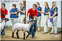 LCFair2016-5130.jpg