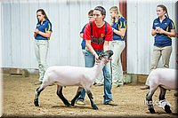 LCFair2016-5131.jpg