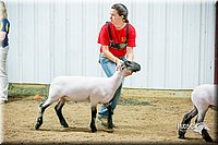 LCFair2016-5132.jpg