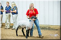 LCFair2016-5136.jpg