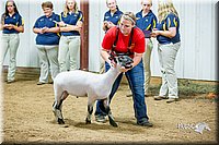 LCFair2016-5137.jpg