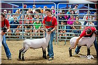 LCFair2016-5138.jpg