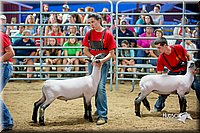 LCFair2016-5139.jpg