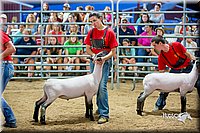 LCFair2016-5140.jpg