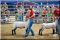 LCFair2016-5141.jpg