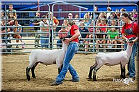 LCFair2016-5142.jpg