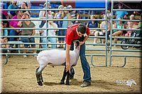 LCFair2016-5143.jpg