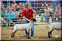 LCFair2016-5144.jpg