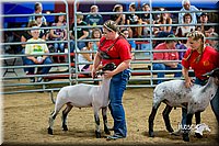 LCFair2016-5145.jpg