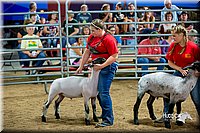 LCFair2016-5146.jpg