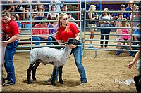 LCFair2016-5147.jpg