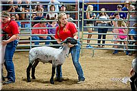 LCFair2016-5148.jpg