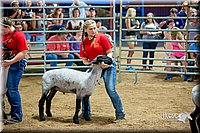 LCFair2016-5149.jpg