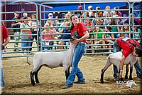 LCFair2016-5150.jpg