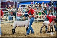 LCFair2016-5151.jpg