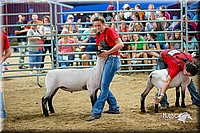 LCFair2016-5153.jpg