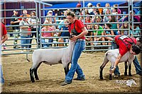 LCFair2016-5154.jpg