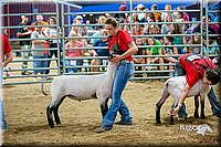 LCFair2016-5155.jpg