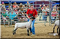 LCFair2016-5156.jpg