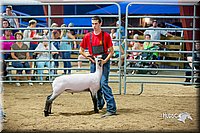 LCFair2016-5157.jpg