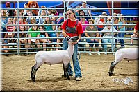 LCFair2016-5158.jpg