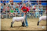 LCFair2016-5159.jpg