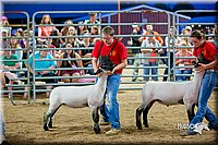 LCFair2016-5160.jpg