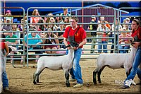 LCFair2016-5161.jpg