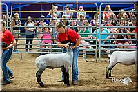 LCFair2016-5162.jpg