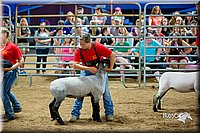 LCFair2016-5163.jpg