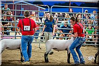 LCFair2016-5164.jpg