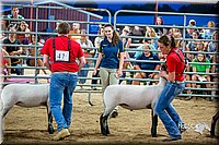 LCFair2016-5165.jpg