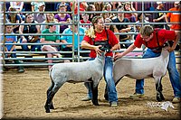 LCFair2016-5166.jpg