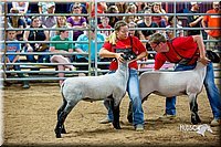 LCFair2016-5167.jpg