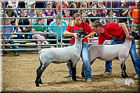 LCFair2016-5168.jpg