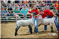 LCFair2016-5169.jpg