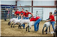 LCFair2016-5170.jpg