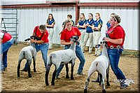 LCFair2016-5171.jpg