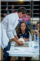 LCFair2016-5178.jpg