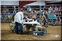 LCFair2016-5184.jpg