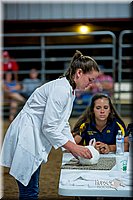 LCFair2016-5186.jpg