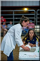 LCFair2016-5188.jpg