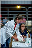 LCFair2016-5193.jpg