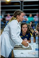 LCFair2016-5194.jpg