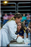 LCFair2016-5196.jpg