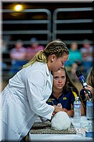 LCFair2016-5197.jpg