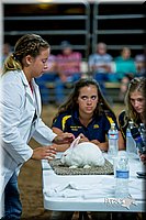 LCFair2016-5199.jpg