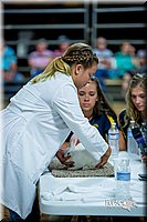 LCFair2016-5200.jpg