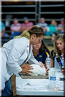 LCFair2016-5202.jpg