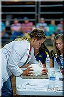 LCFair2016-5203.jpg